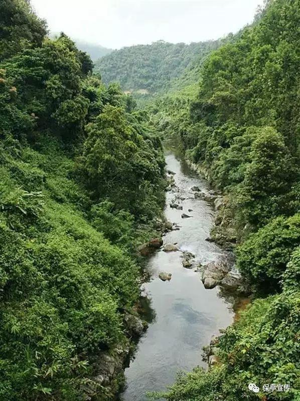小僵尸射飞鸟